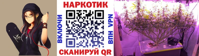 Купить Канабис  Меф мяу мяу  Альфа ПВП  АМФ  Гашиш  Назрань