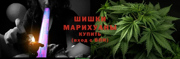 индика Нея
