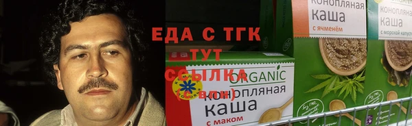 индика Нея