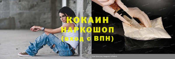 индика Нея