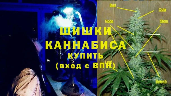 индика Нея