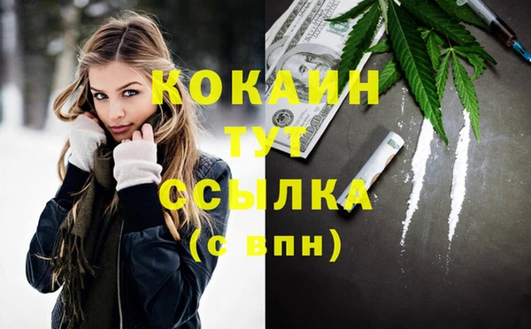 индика Нея