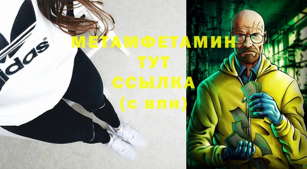 индика Нея