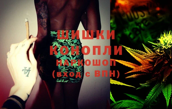индика Нея