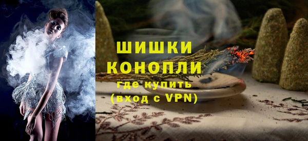 индика Нея