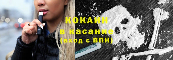 индика Нея