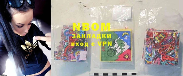 индика Новозыбков