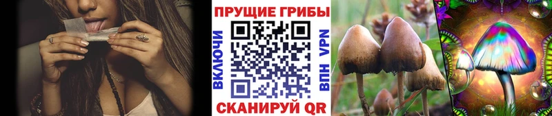 Псилоцибиновые грибы Magic Shrooms  Купить закладки  Назрань 
