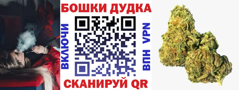 Купить где  Назрань  Шишки марихуана SATIVA & INDICA 